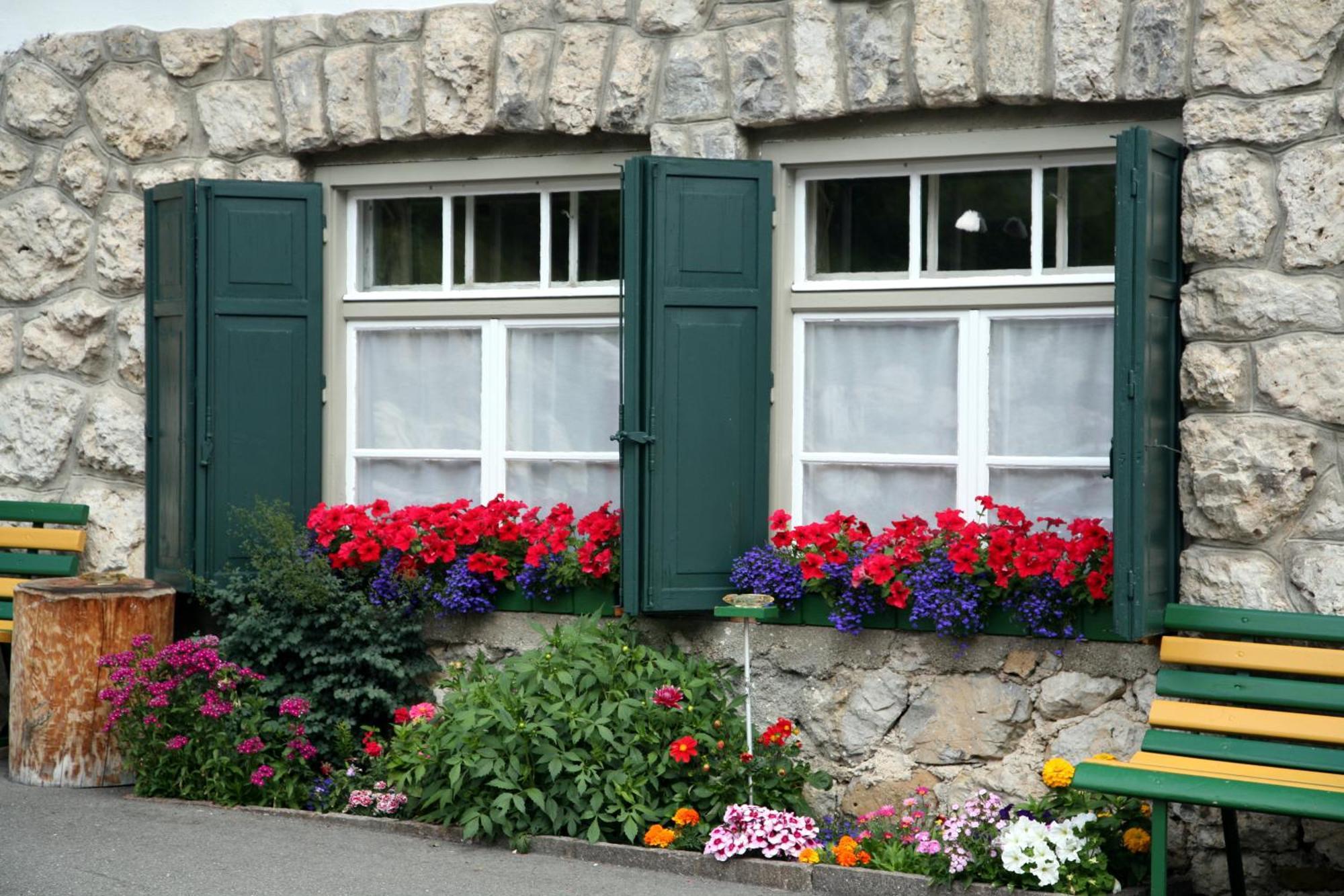 Residence Riposo Colfosco Bagian luar foto